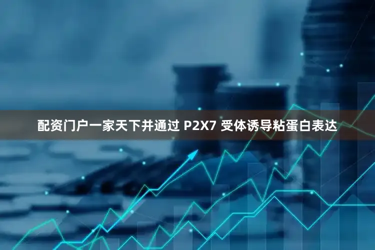 配资门户一家天下并通过 P2X7 受体诱导粘蛋白表达