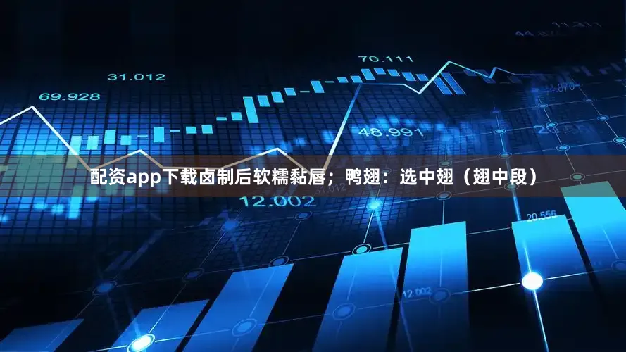 配资app下载卤制后软糯黏唇；鸭翅：选中翅（翅中段）