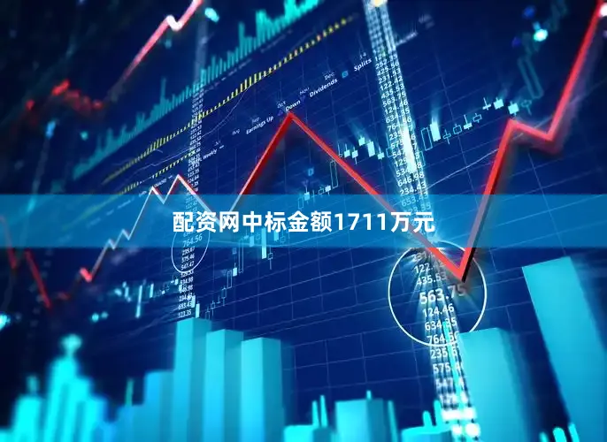 配资网中标金额1711万元